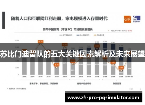 苏比门迪留队的五大关键因素解析及未来展望 苏比门迪留队的五大关键因素解析及未来展望