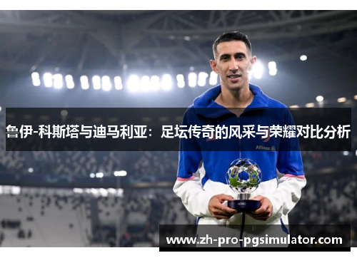 鲁伊-科斯塔与迪马利亚：足坛传奇的风采与荣耀对比分析