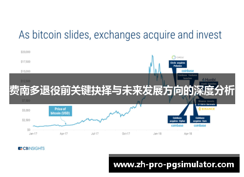 费南多退役前关键抉择与未来发展方向的深度分析 费南多退役前关键抉择与未来发展方向的深度分析