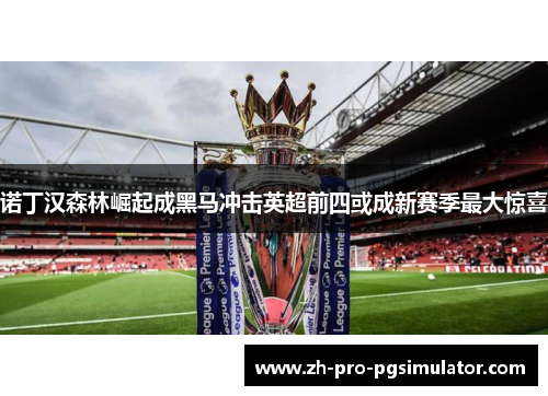 诺丁汉森林崛起成黑马冲击英超前四或成新赛季最大惊喜