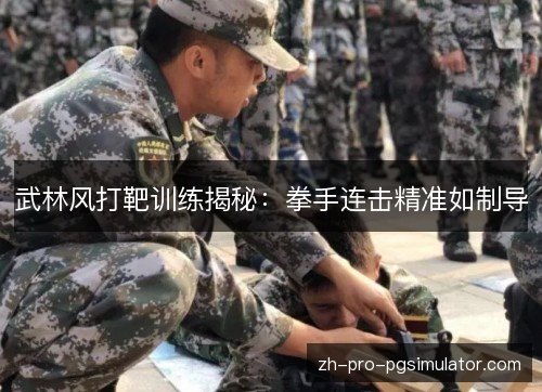 武林风打靶训练揭秘:拳手连击精准如制导 武林风打靶训练揭秘:拳手连击精准如制导